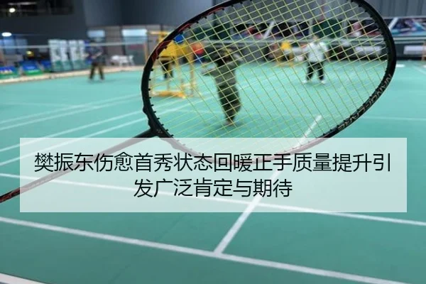 樊振东伤愈首秀状态回暖正手质量提升引发广泛肯定与期待
