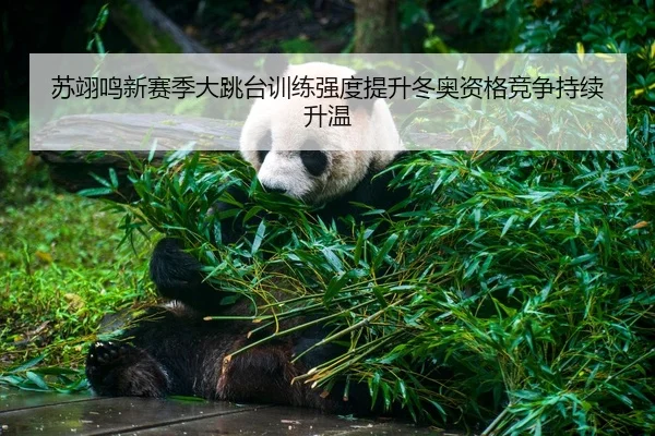 苏翊鸣新赛季大跳台训练强度提升冬奥资格竞争持续升温