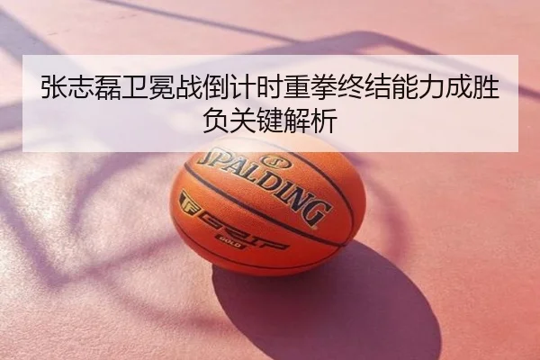 张志磊卫冕战倒计时重拳终结能力成胜负关键解析